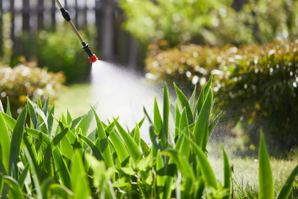24/7 Emergency Wasp Removal experts in Hanover Park, IL