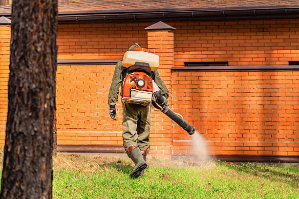 Top rated local Wasp Removal specialists in Hanover Park, IL